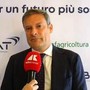 Di Paolo (Bat): "Accordi di filiera essenziali per stabilità e investimenti" Di Paolo (Bat): "Accordi di filiera essenziali per stabilità e investimenti"