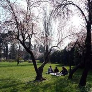 Temperature sopra la media, ma potrebbe tornare la pioggia: previsioni meteo