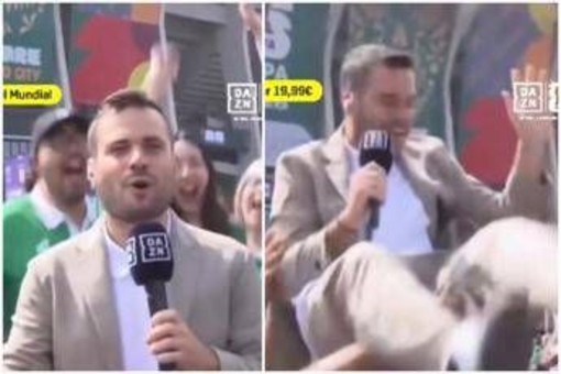 Mondiali, tifosi del Messico fanno 'volare' giornalista Dazn Mondiali, tifosi del Messico fanno 'volare' giornalista Dazn