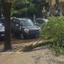 Maltempo a Roma, ramo cade fuori liceo a Coppedè: feriti 3 studenti