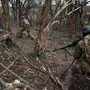 Ucraina-Russia, 4 anni di guerra: conflitto si misura in passi, la situazione sul campo Ucraina-Russia, 4 anni di guerra: conflitto si misura in passi, la situazione sul campo