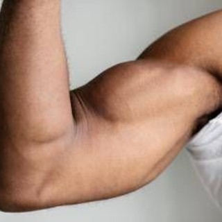 Ecco perché i muscoli invecchiano, lo studio italiano svela il ruolo dei perossisomi