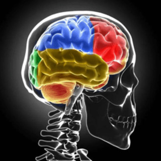 Sclerosi multipla, Bandiera (Aism): &quot;Caregiver fondamentali ma ancora invisibili&quot;