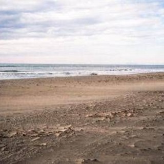 Spiagge a rischio, 1 su 5 può sparire entro il 2050: dove scatta l'allarme Spiagge a rischio, 1 su 5 può sparire entro il 2050: dove scatta l'allarme