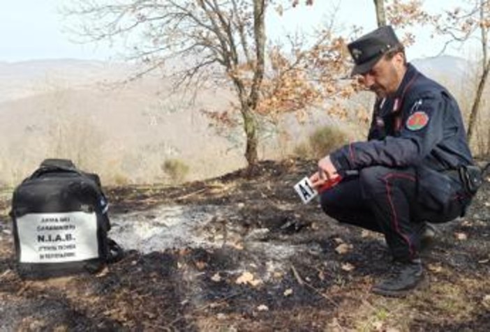 Incendi, Carabinieri Forestali: "98% causati dall'uomo, in primi 6 mesi 3800 ettari bruciati"