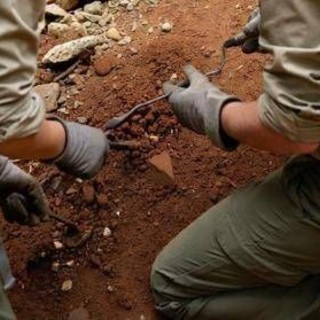 L'antenato dell'uomo camminava 7 milioni di anni fa, la scoperta che sposta i primi passi