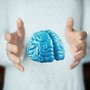 Imparare ad essere altruisti, così il cervello costruisce i comportamenti sociali Imparare ad essere altruisti, così il cervello costruisce i comportamenti sociali