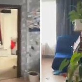 Terremoto oggi da Kamkatchka a Giappone, la casa trema per un minuto