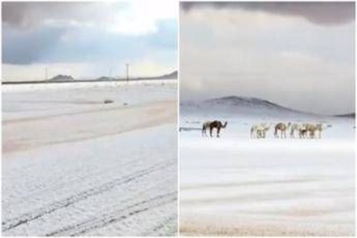 L'Arabia Saudita 'riscopre' la neve, primi fiocchi dopo 30 anni