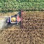Hendron, Wild Bioscience: "Con nuove tecniche genomiche svolta storica per l’agricoltura europea" Hendron, Wild Bioscience: "Con nuove tecniche genomiche svolta storica per l’agricoltura europea"