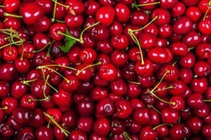 La ciliegia e le qualità 'nascoste', Calabrese: "Anche il gambo fa bene" La ciliegia e le qualità 'nascoste', Calabrese: "Anche il gambo fa bene"