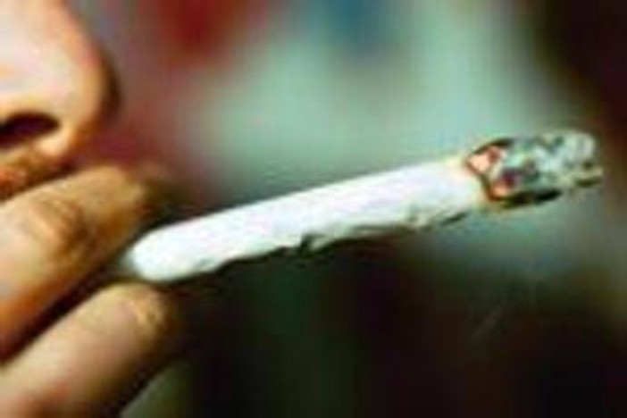 Droga, San Patrignano: "Primo step cannabis e binge drinking, poi si passa a quelle sintetiche" Droga, San Patrignano: "Primo step cannabis e binge drinking, poi si passa a quelle sintetiche"