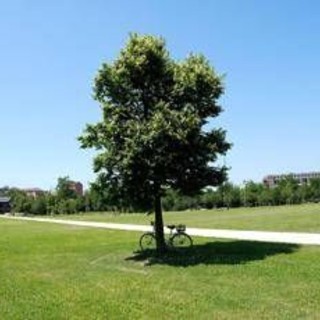 Estate piena nel weekend poi arriva l'autunno con forti temporali