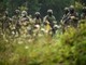 Ucraina-Russia, meno uomini e più droni: come cambia la guerra