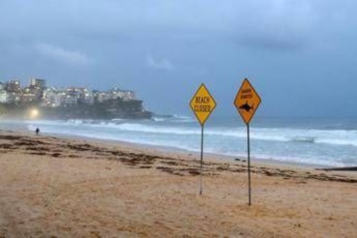 Australia, uomo muore dopo attacco di squalo al largo di Perth Australia, uomo muore dopo attacco di squalo al largo di Perth
