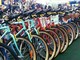 Mobilità, meno emissioni e più alberi con 'Magis bike Challenge' Mobilità, meno emissioni e più alberi con 'Magis bike Challenge'