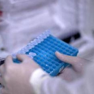 Ricerca, Rizzuto: &quot;In Italia studi su Rna e terapie geniche per cure personalizzate&quot;