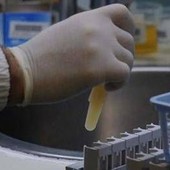 Tre morti per possibile focolaio di infezione da hantavirus su nave da crociera nell'Atlantico﻿