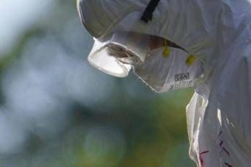 Aviaria, l'allarme dell'Ecdc: "In Europa più rischi per l'uomo", cosa sta succedendo