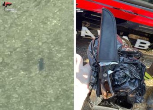 Omicidio 19enne a Crema, trovato un coltello nell'Adda Omicidio 19enne a Crema, trovato un coltello nell'Adda