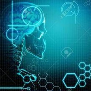 Ictus, da esperti Iss i '6 segnali' per riconoscerlo Ictus, da esperti Iss i '6 segnali' per riconoscerlo