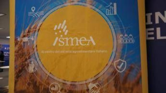 Vinitaly, vino italiano leader: focus su mercati esteri e nuovo bando OCM Promozione