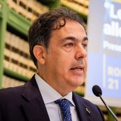 Valutatori immobiliari, Fondazione Inarcassa “Sistema a rischio collasso” Valutatori immobiliari, Fondazione Inarcassa “Sistema a rischio collasso”