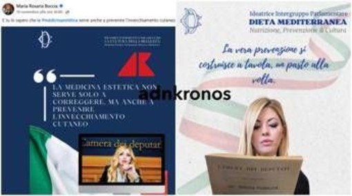 Maria Rosaria Boccia ci ricasca: usa il logo della Camera per promuovere diete e ritocchini