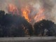 Francia e Spagna in ginocchio per gli incendi, Macron schiera l'esercito