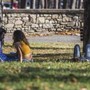 Sole e temperature in rialzo, domina l'anticiclone: le previsioni meteo
