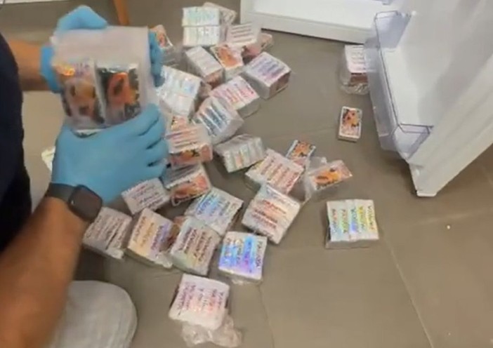 Venti chili di hashish nascosti in confezioni di papaya, un arresto a Cagliari Venti chili di hashish nascosti in confezioni di papaya, un arresto a Cagliari