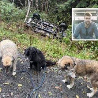 Intrappolato su Vancouver Island, salvo grazie ai satelliti di Musk Intrappolato su Vancouver Island, salvo grazie ai satelliti di Musk