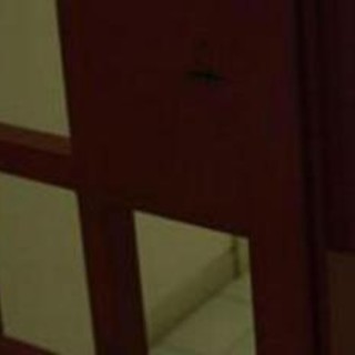 Bologna, due giovani evadono da Istituto penale per minorenni