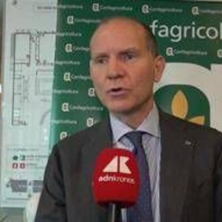 Agricoltura, Giansanti (Confagricoltura): "Servono risorse per continuare a innovare" Agricoltura, Giansanti (Confagricoltura): "Servono risorse per continuare a innovare"