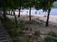 Cina, tifone Noul devasta la provincia del Guangdong: evacuate 800mila persone Cina, tifone Noul devasta la provincia del Guangdong: evacuate 800mila persone