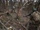 Ucraina-Russia, la guerra dei record si combatte da 1570 giorni Ucraina-Russia, la guerra dei record si combatte da 1570 giorni