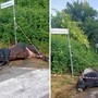 Violento incidente sulla via dei Laghi, auto finisce contro un toro. Il sindaco di Nemi: "Sfiorata la tragedia"