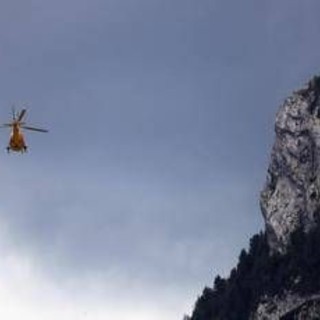 Taglia alberi nel bosco, 64enne muore schiacciato nel Bergamasco Taglia alberi nel bosco, 64enne muore schiacciato nel Bergamasco