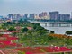 Cina, cambiano la domanda e l’offerta nel mercato immobiliare Cina, cambiano la domanda e l’offerta nel mercato immobiliare