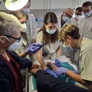 Virus naturali contro superbatteri resistenti, terapia fagica al Sacco di Milano