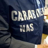 Truffa sul gas medicale, 12 misure cautelari a Reggio Calabria Truffa sul gas medicale, 12 misure cautelari a Reggio Calabria