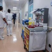 Sanità, intesa sul contratto: "Aumento di 240 euro al mese per gli infermieri"