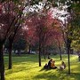 Equinozio di autunno 2025, quando inizia la nuova stagione
