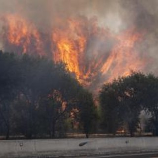 Francia e Spagna in ginocchio per gli incendi, Macron schiera l'esercito