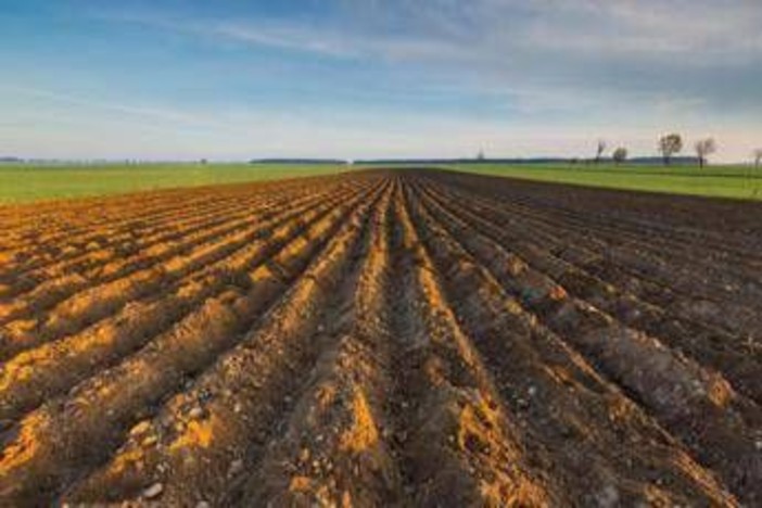 Ismea, riparte 'Generazione Terra', 120 mln per giovani agricoltori nel 2026
