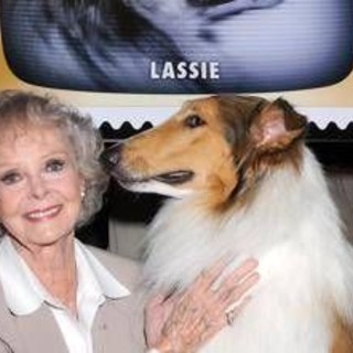 Morta June Lockhart, la mamma star di 'Lassie' aveva 100 anni