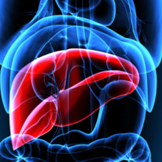 Mash, esperti a confronto su importanza diagnosi per patologia epatica sottovalutata Mash, esperti a confronto su importanza diagnosi per patologia epatica sottovalutata