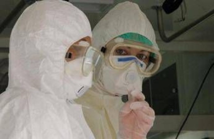 Virus Shamonda, Lopalco: "È favorito da crisi climatica, svegliamoci"