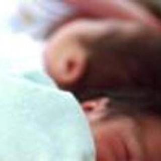 Neonati prematuri uccisi da batterio a Bolzano, cos'è il Serratia marcescens