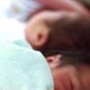 Neonati prematuri uccisi da batterio a Bolzano, cos'è il Serratia marcescens